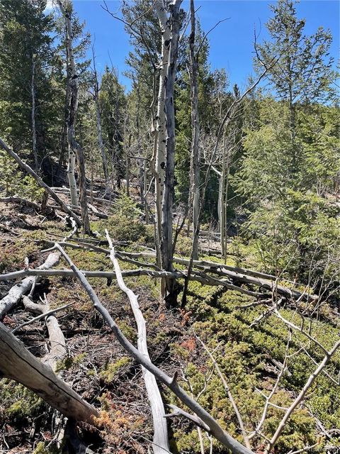 Unimproved Land in Black Hawk CO 3 Miners Road 11.jpg