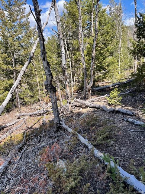 Unimproved Land in Black Hawk CO 3 Miners Road 6.jpg