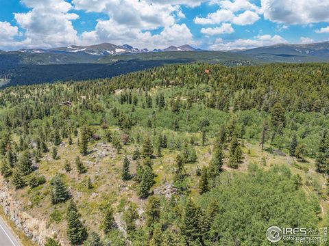 1568 County Road 103 Nederland CO 80466