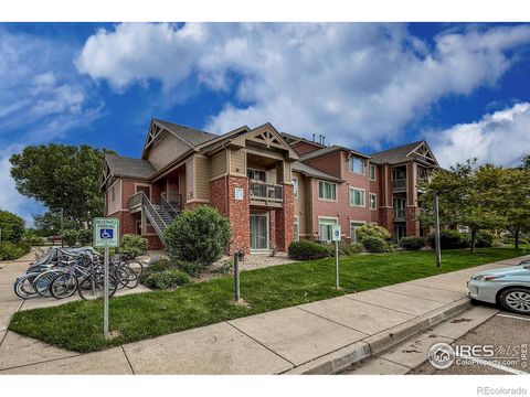 804 Summer Hawk Drive 105 Longmont CO 80504