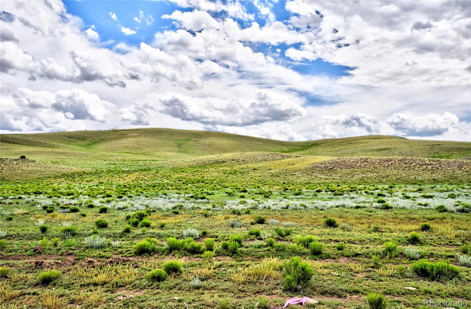 View Hartsel, CO 80449 land