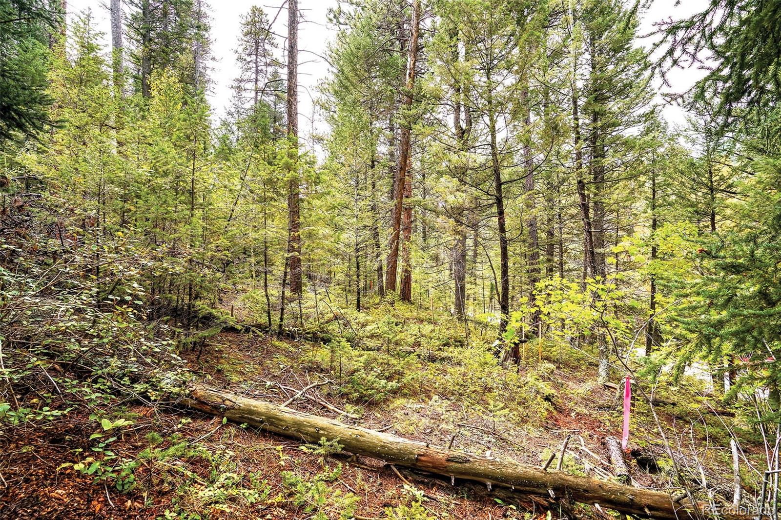 10862-10872 Twin Spruce Road