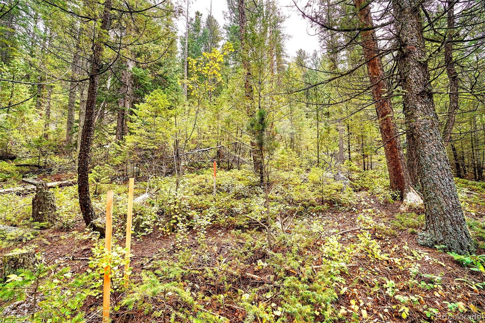 10862-10872 Twin Spruce Road