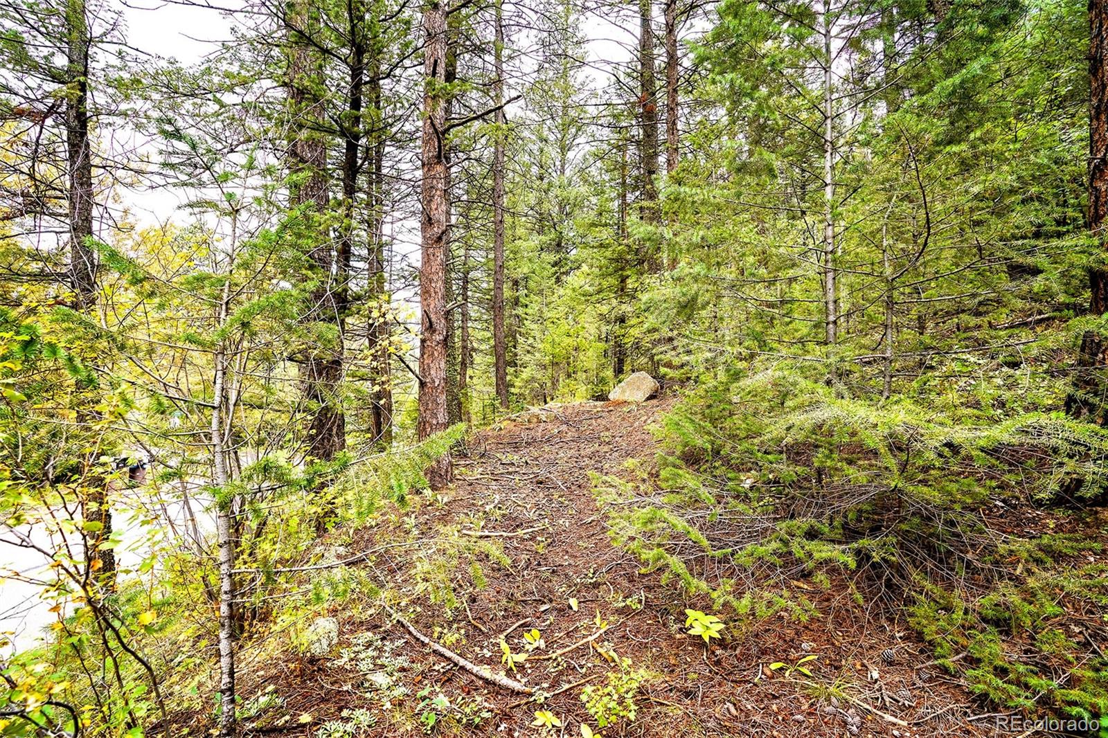 10862-10872 Twin Spruce Road