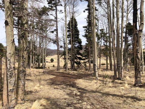 1816-17-18 Forbes Park Road, Fort Garland, CO 81133 - #: 9870744