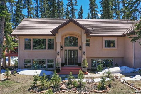 201 Starlight Heights, Divide, CO 80814 - #: 2645943