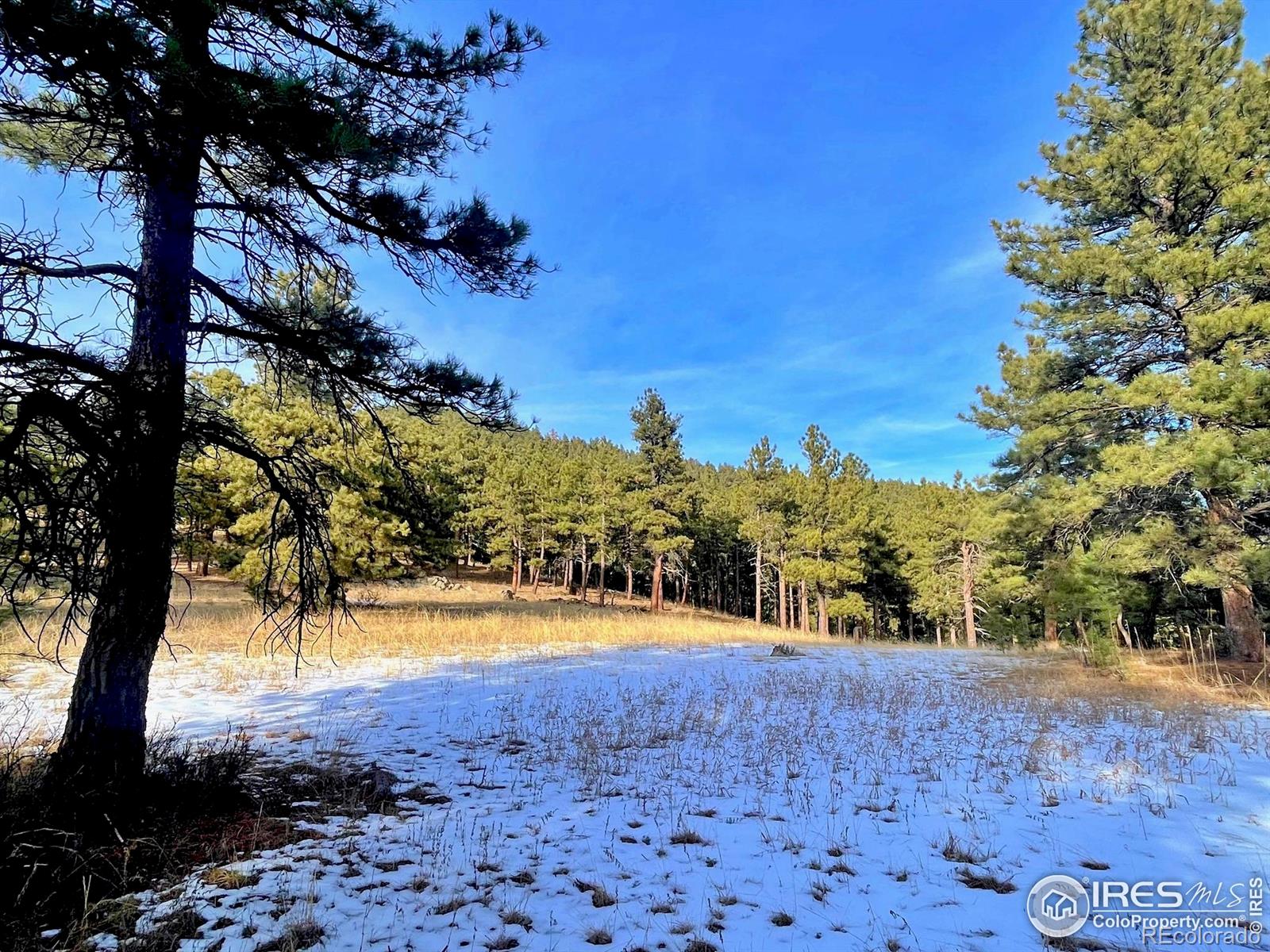 2050 Fourmile Canyon Drive