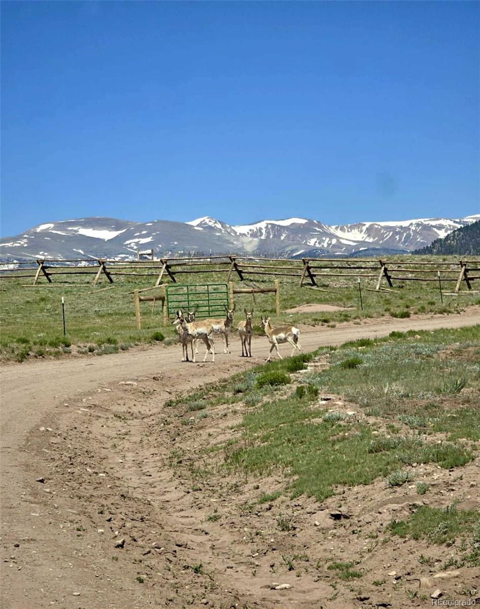 5675 Antero Drive