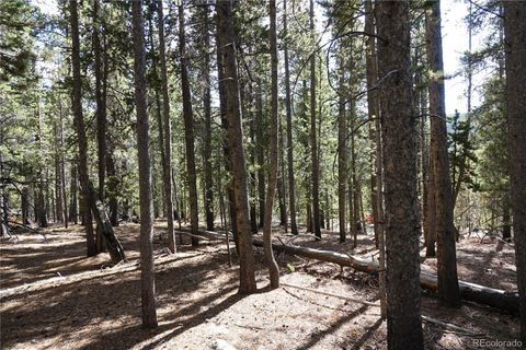 000 Loch Lomond Rd & Vista Rd Idaho Springs CO 80452