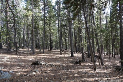 000 Loch Lomond Rd & Vista Rd Idaho Springs CO 80452