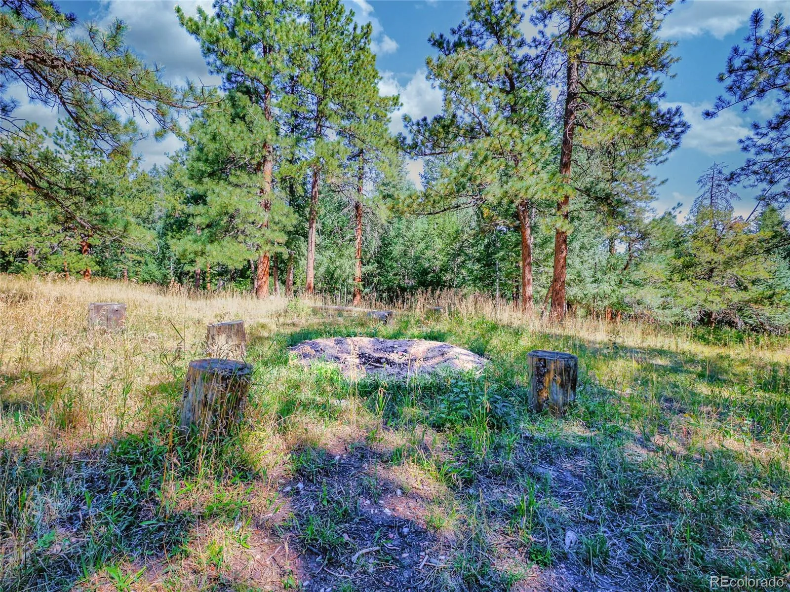 Conifer, Colorado 80433, United States, ,Land,Active,211303