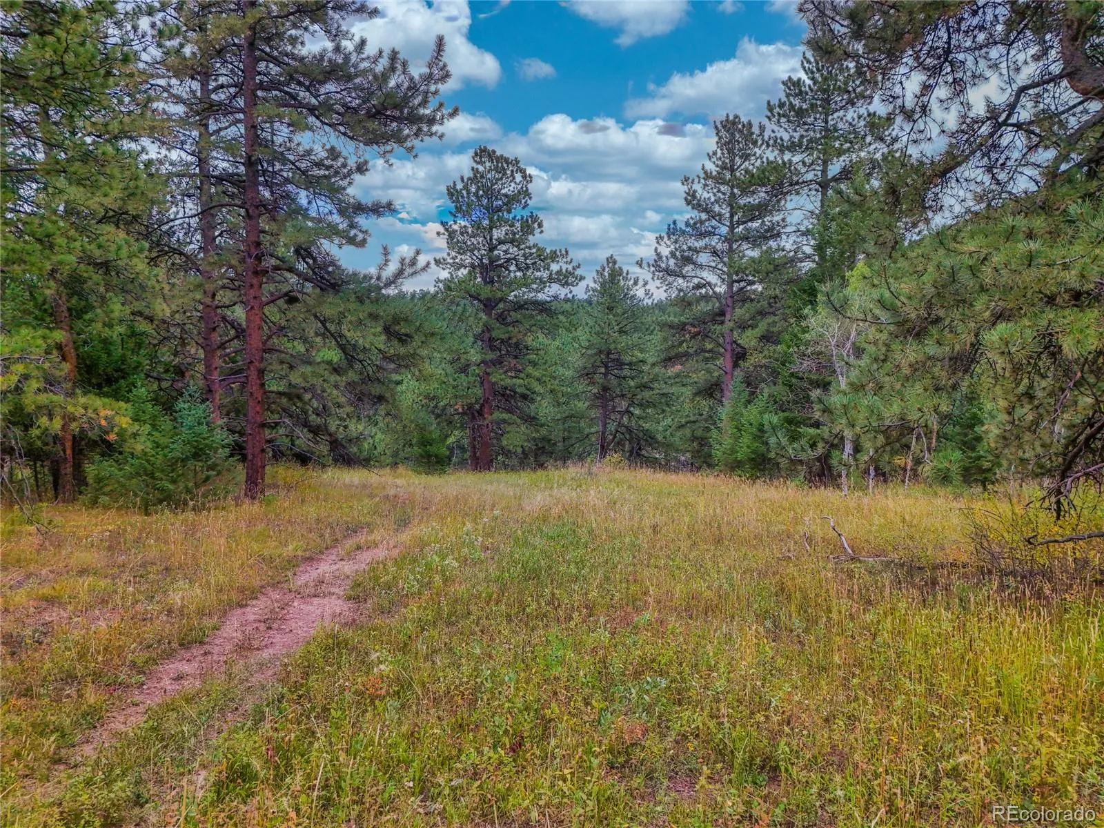 Conifer, Colorado 80433, United States, ,Land,Active,211303