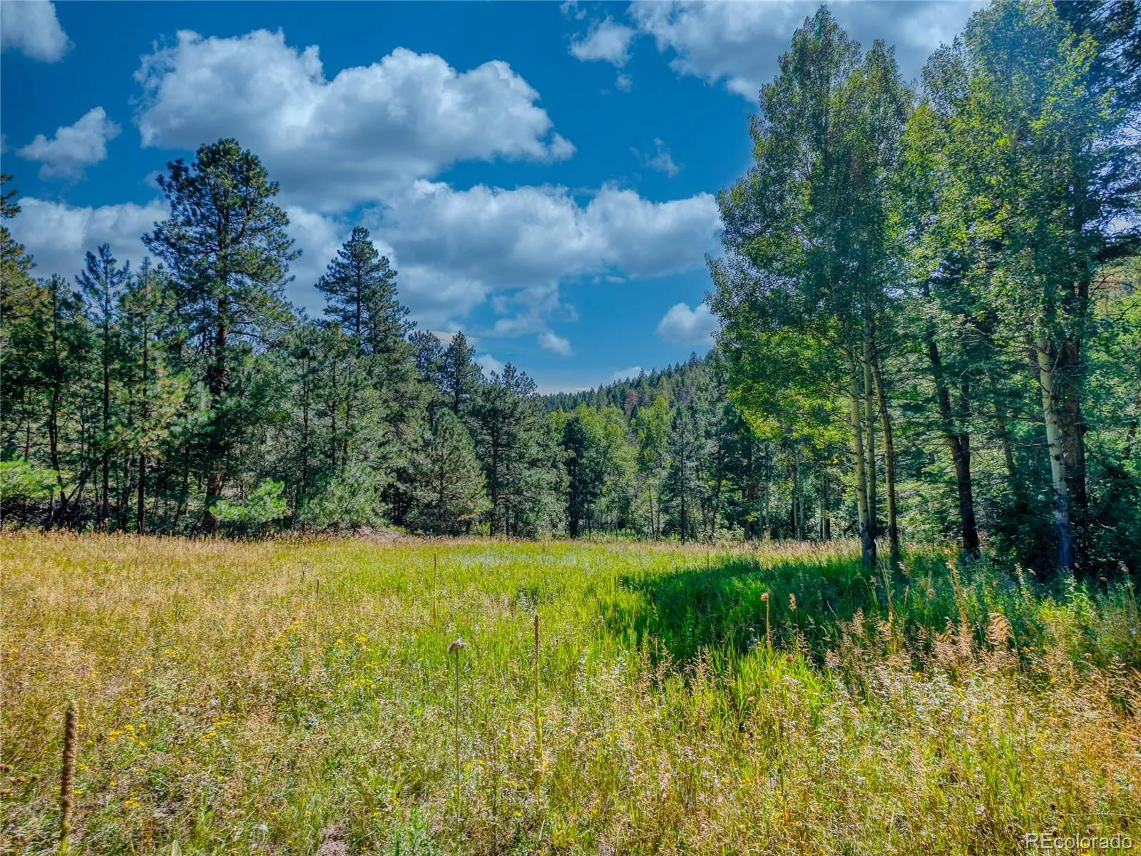 Conifer, Colorado 80433, United States, ,Land,Active,211303