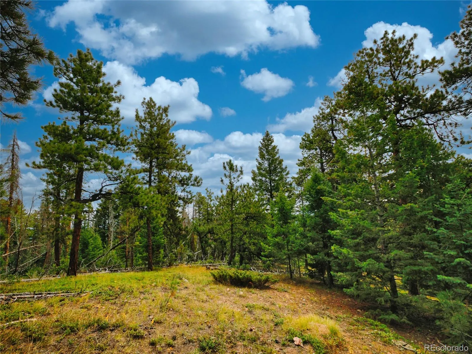 Conifer, Colorado 80433, United States, ,Land,Active,211303