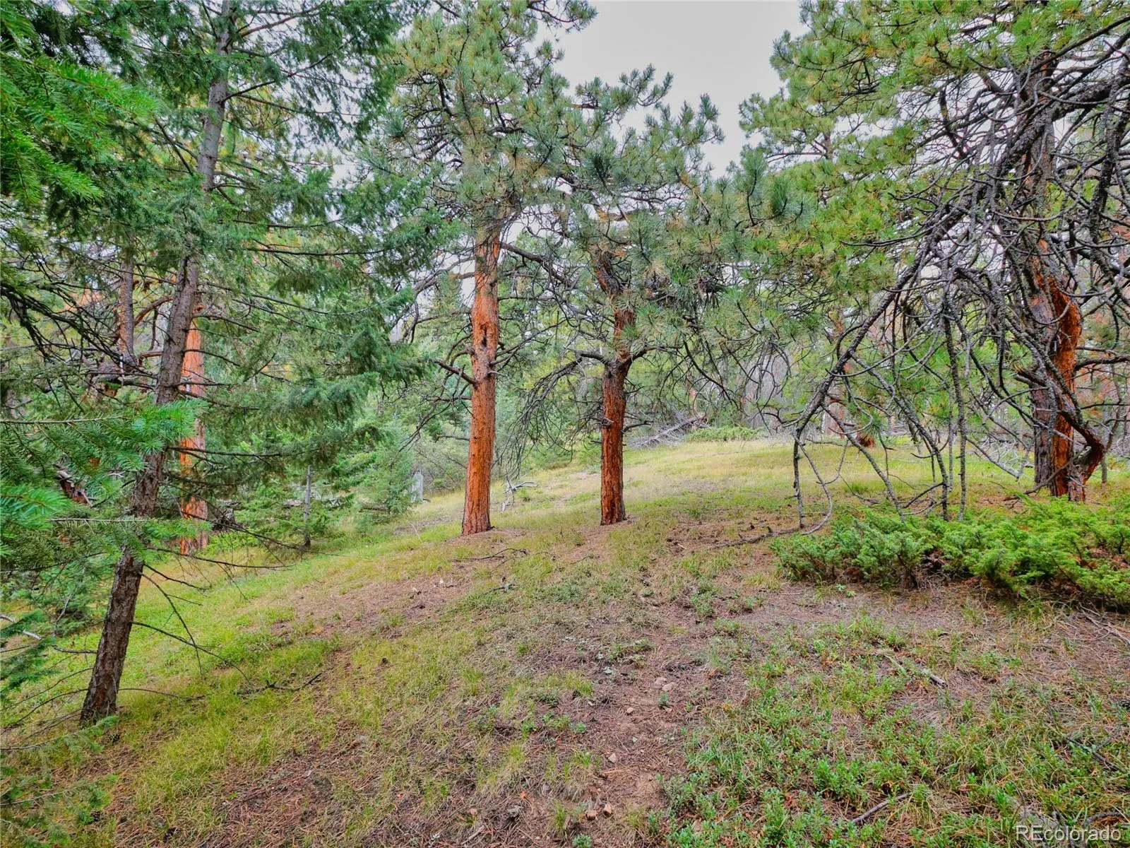 Conifer, Colorado 80433, United States, ,Land,Active,211303