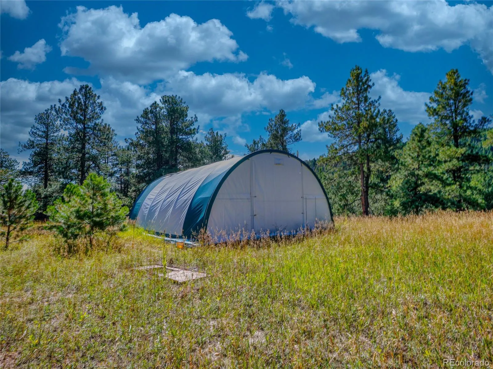 Conifer, Colorado 80433, United States, ,Land,Active,211303