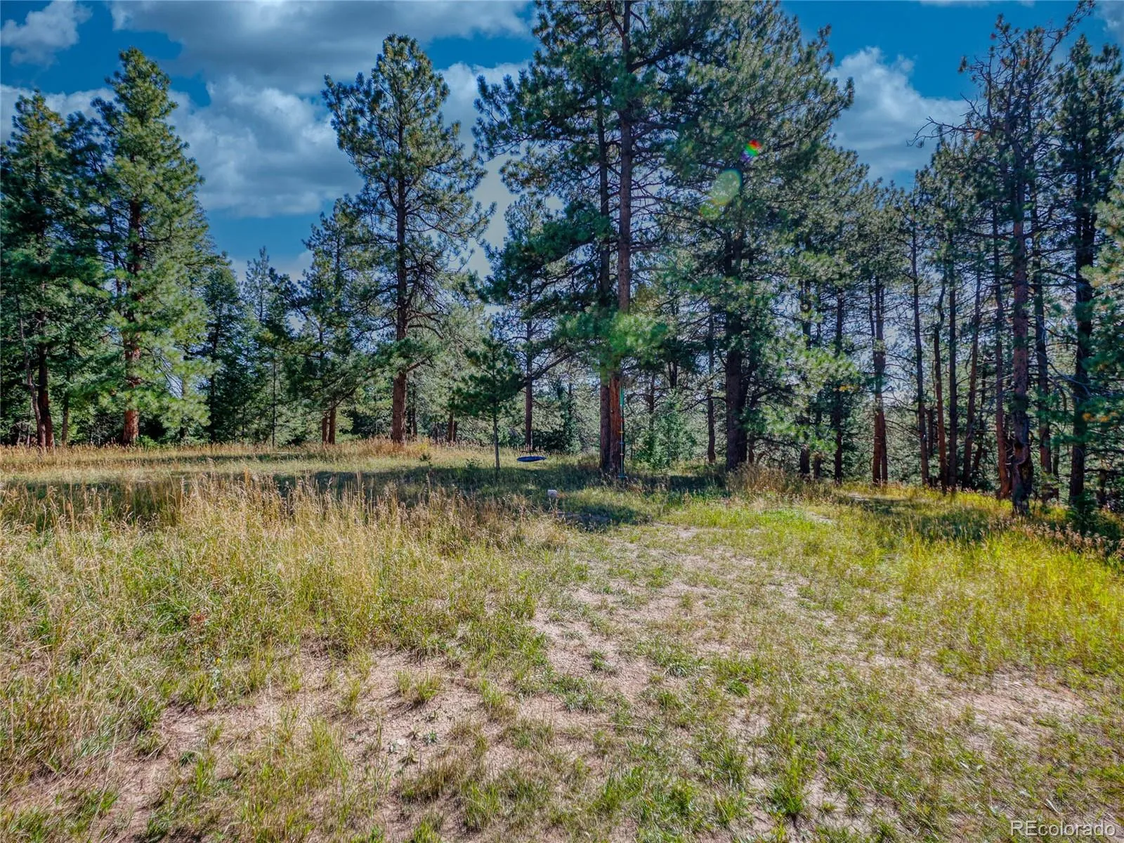 Conifer, Colorado 80433, United States, ,Land,Active,211303