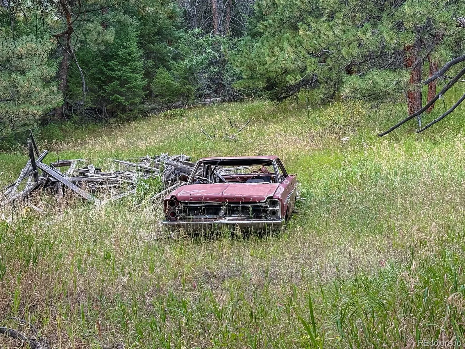 Conifer, Colorado 80433, United States, ,Land,Active,211303