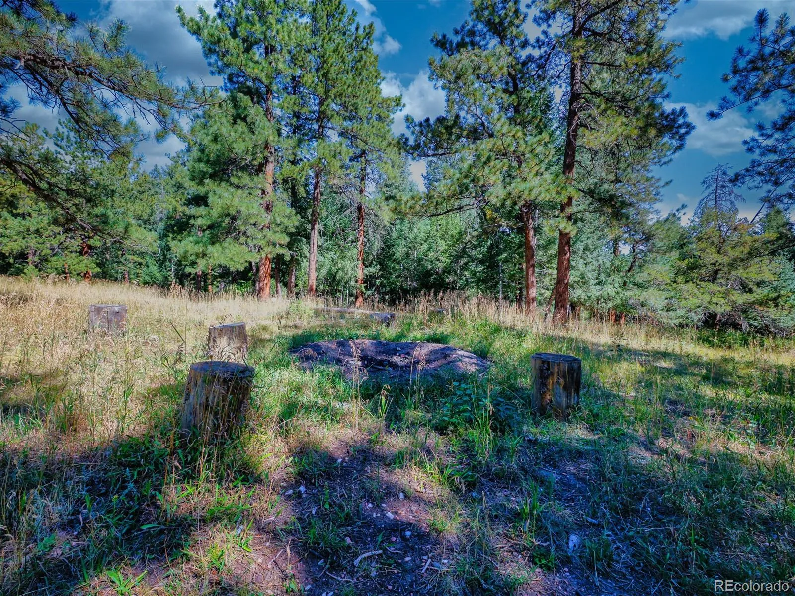 Conifer, Colorado 80433, United States, ,Land,Active,211303