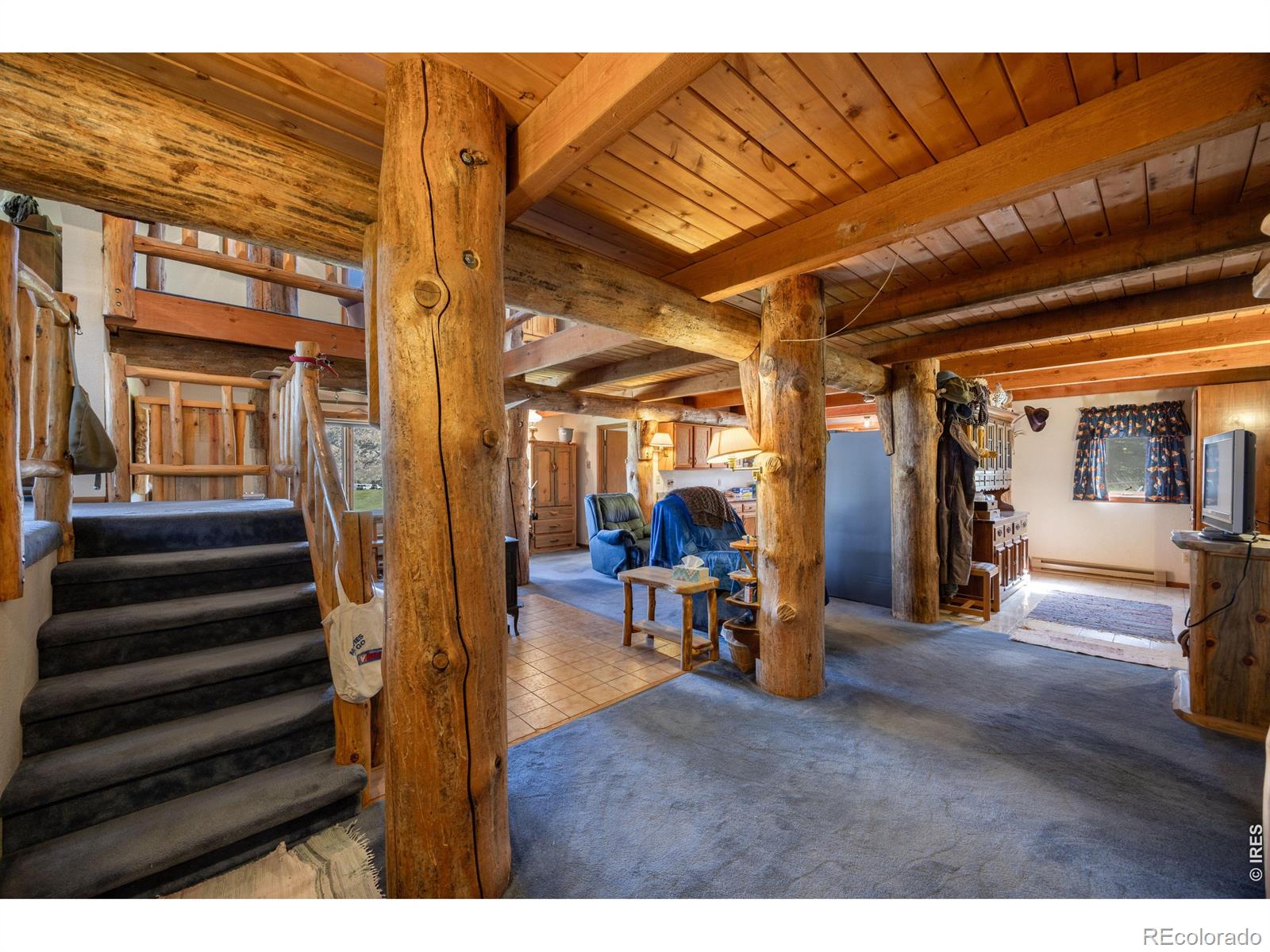 678 Palisade Mountain Drive