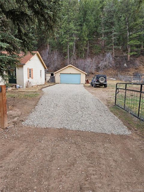 124 River Drive Bailey CO 80421