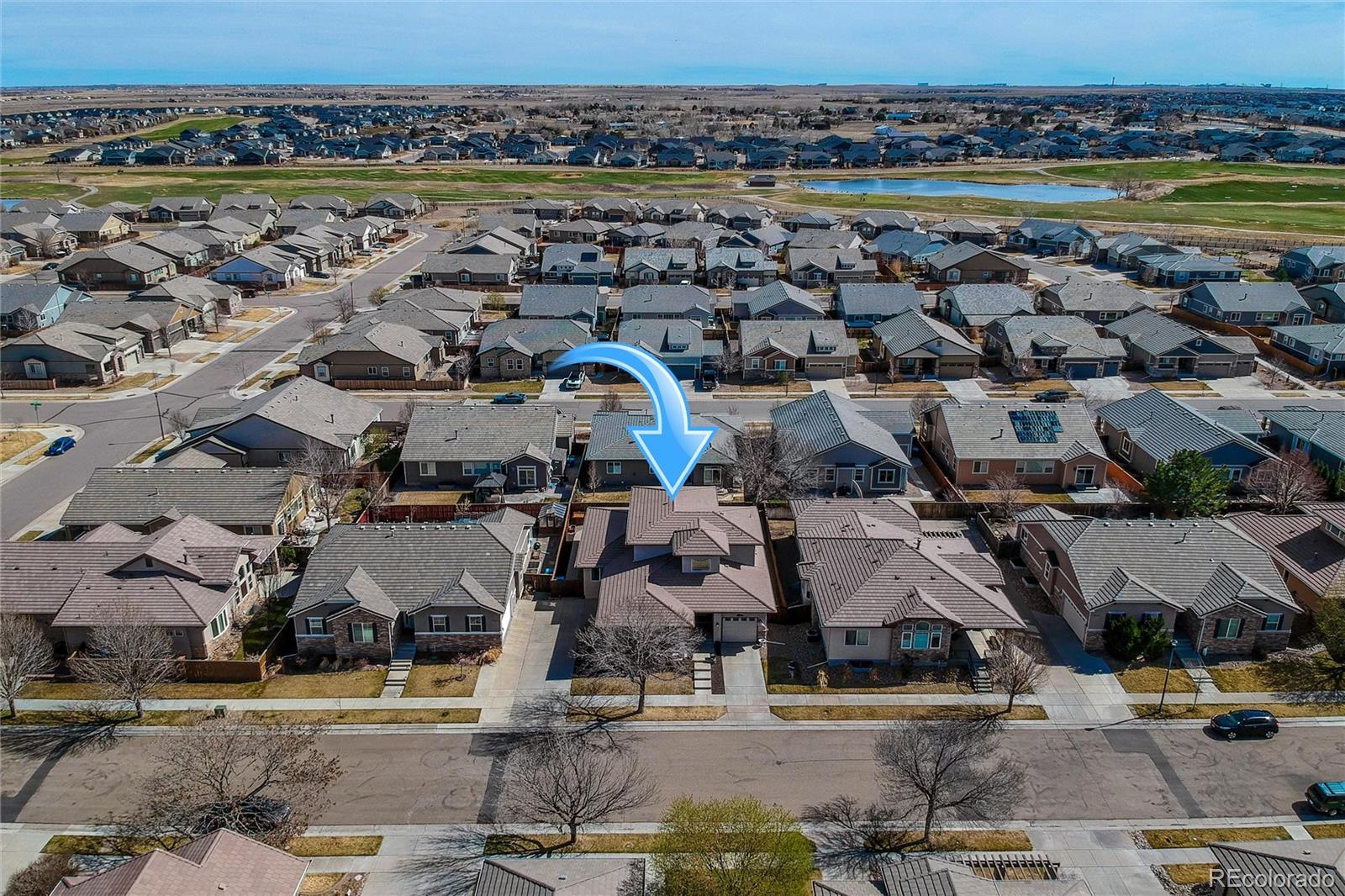 11462 Chambers Drive