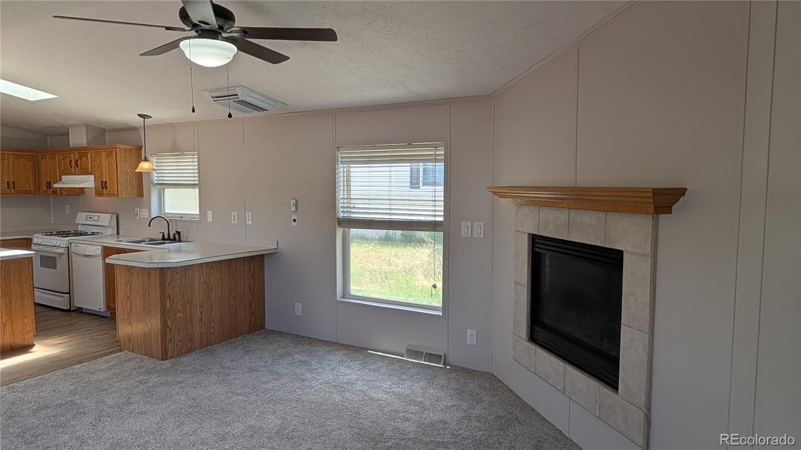 8 Jason Street, Castle Rock, CO, 80109 8 Jason Street