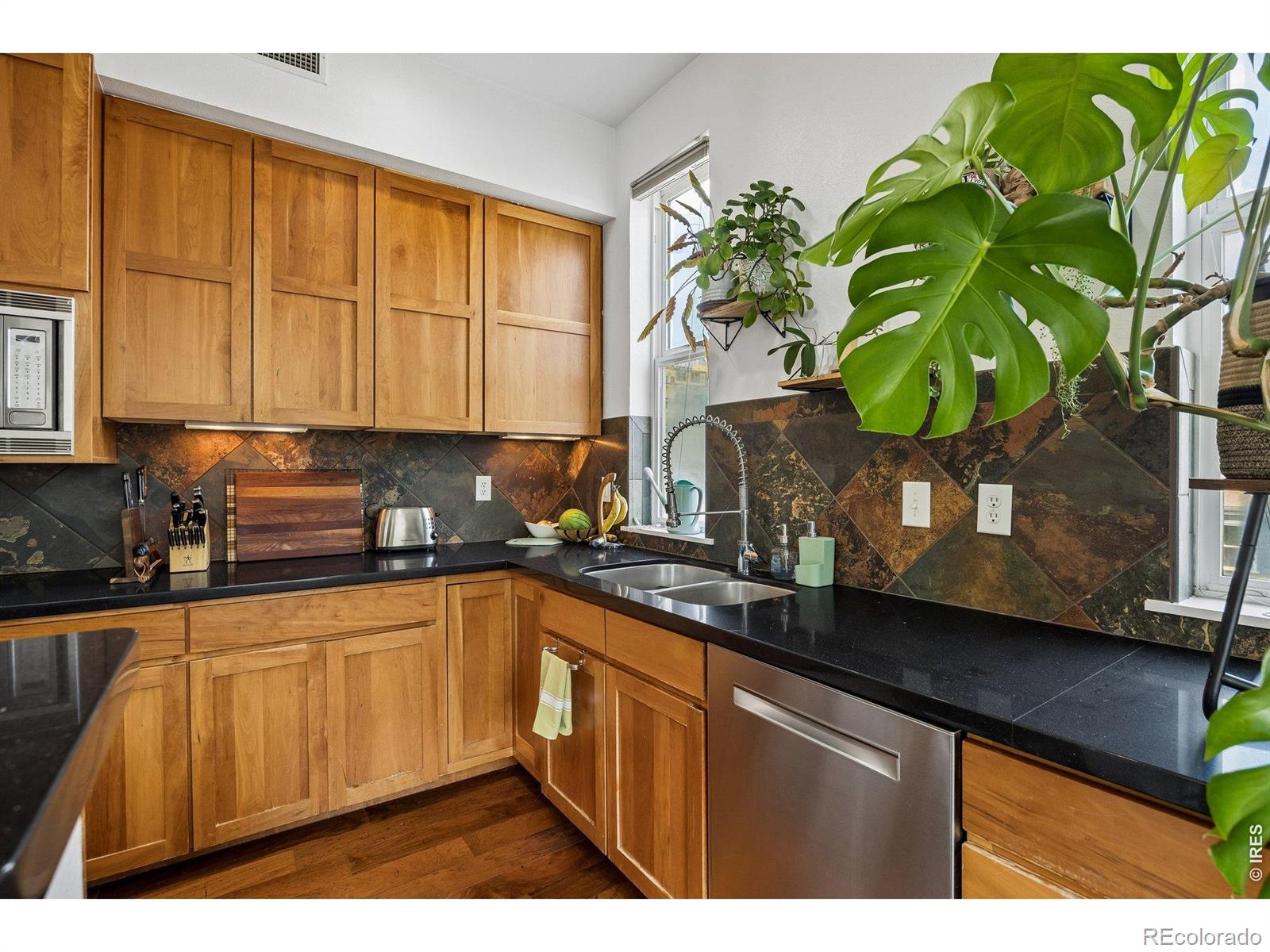 1738 N Franklin Street 3D