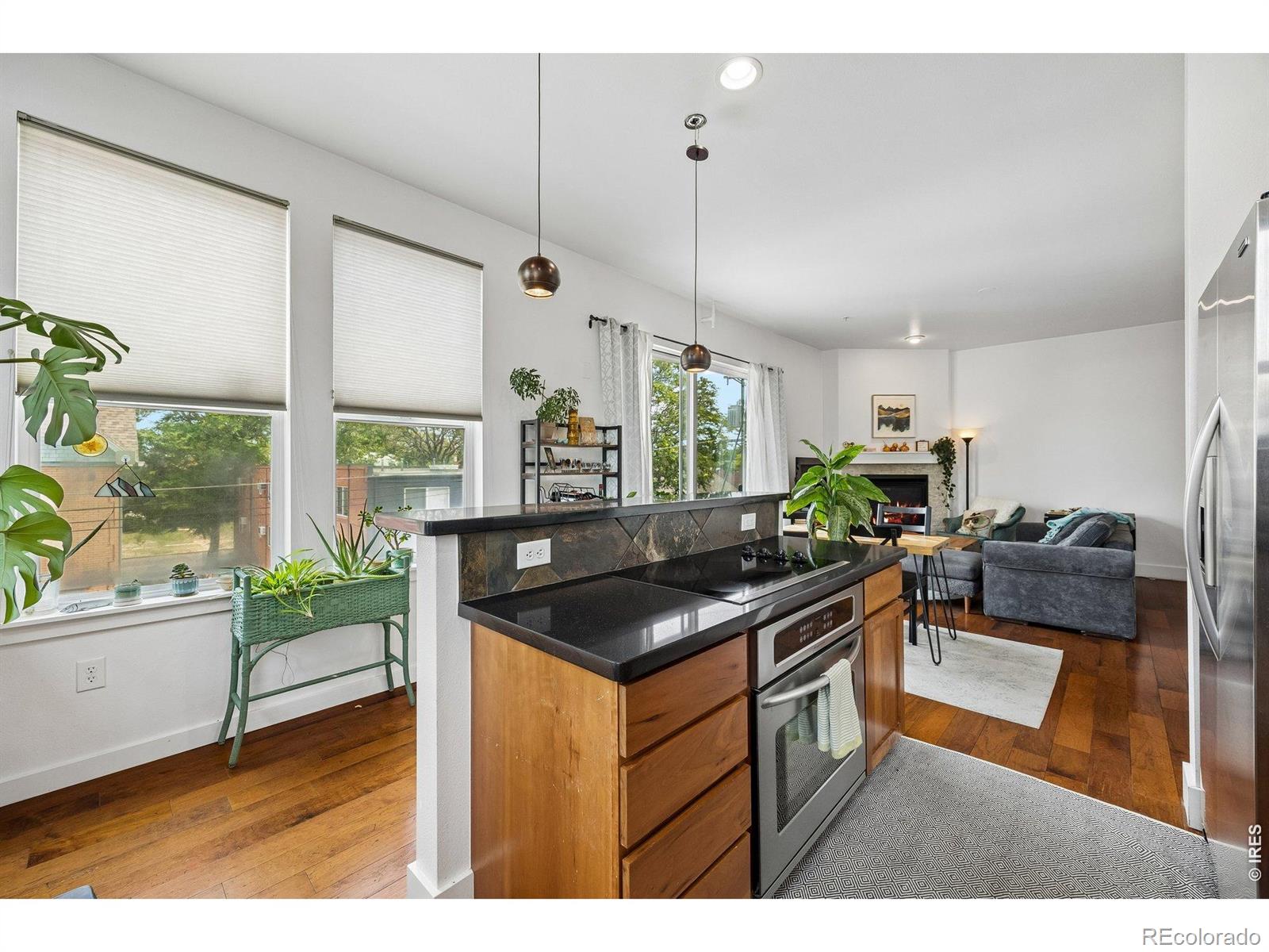 1738 N Franklin Street 3D