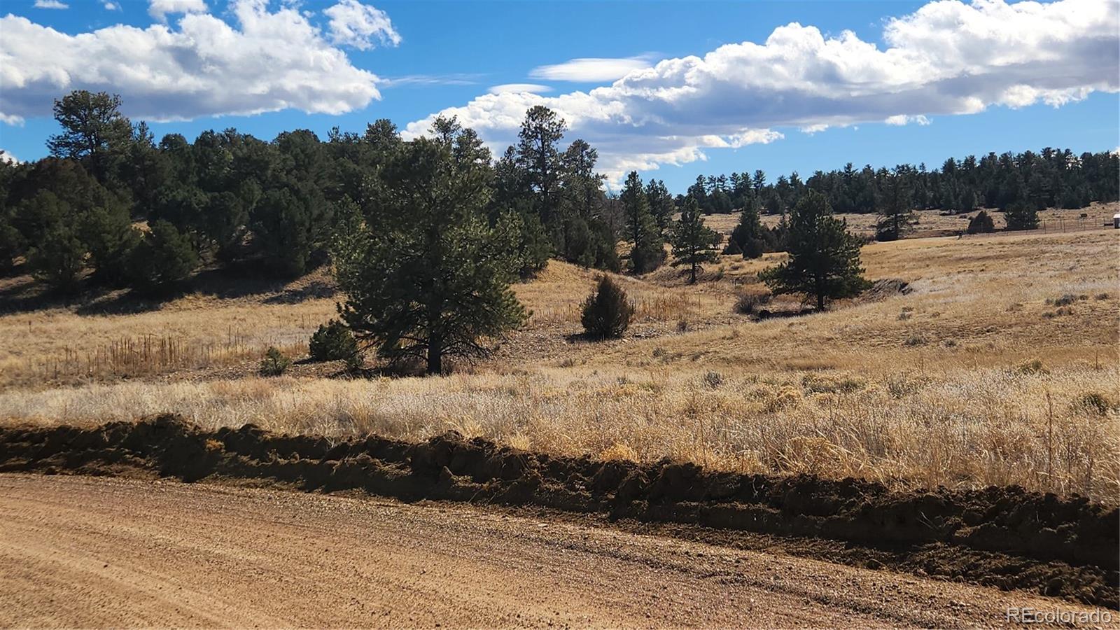 47 White Cloud Drive