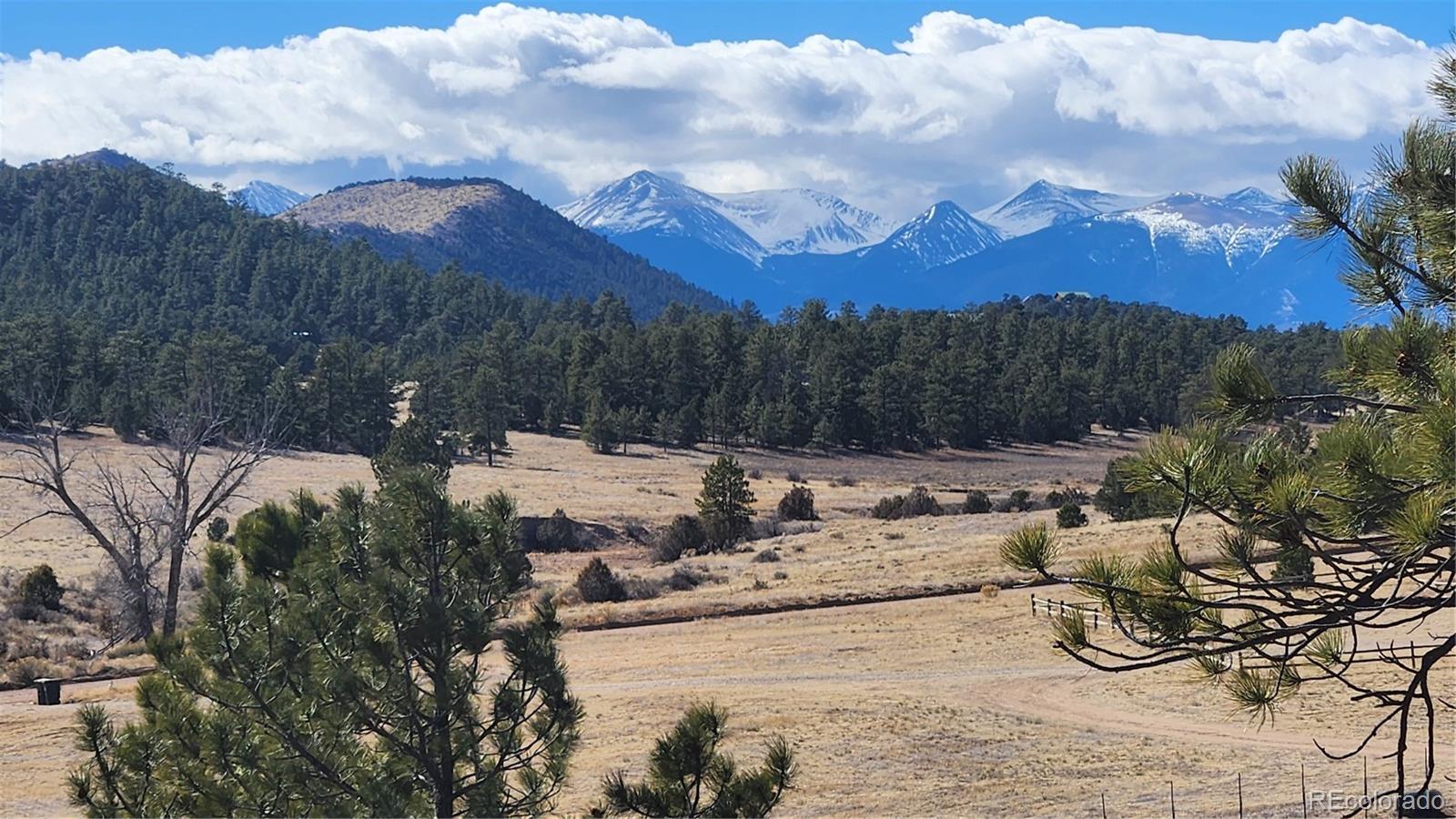 47 White Cloud Drive