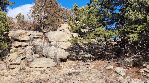 47 White Cloud Drive Cotopaxi CO 81223