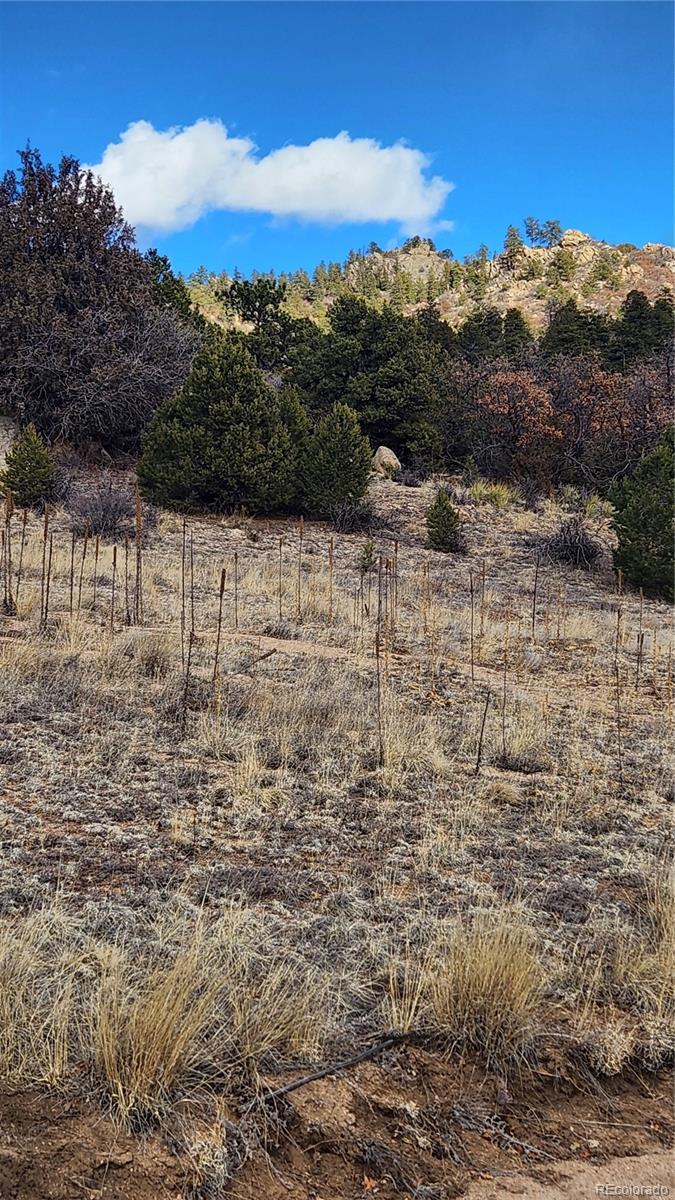 47 White Cloud Drive