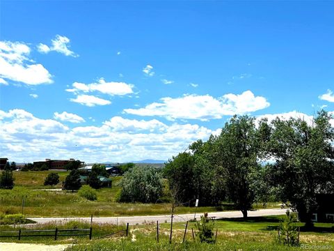 Single Family Residence in Parker CO 11829 Zebra Grass Way 18.jpg