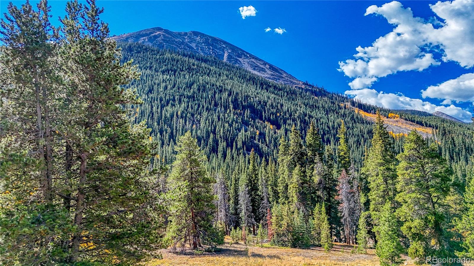 TBD Highway 82