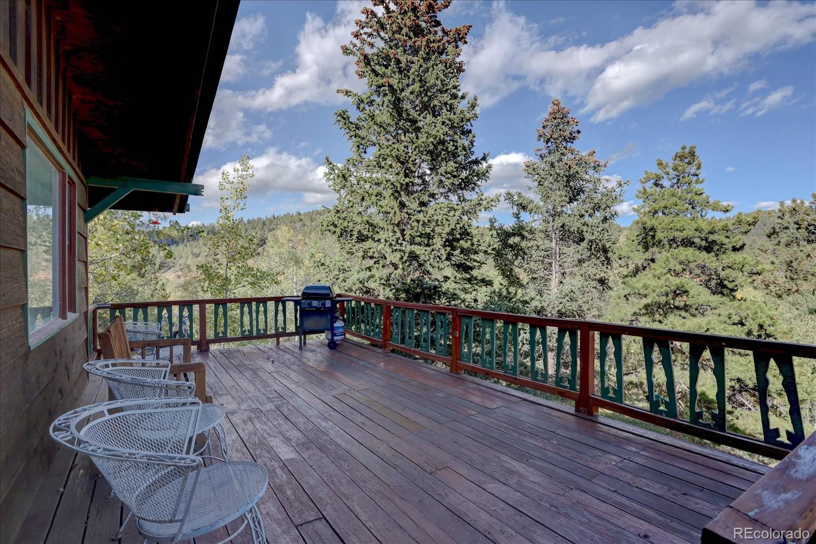 255 Saddlestring Road, Bailey, CO, 80421 3 255 Saddlestring Road