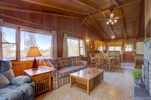 255 Saddlestring Road Bailey CO 80421