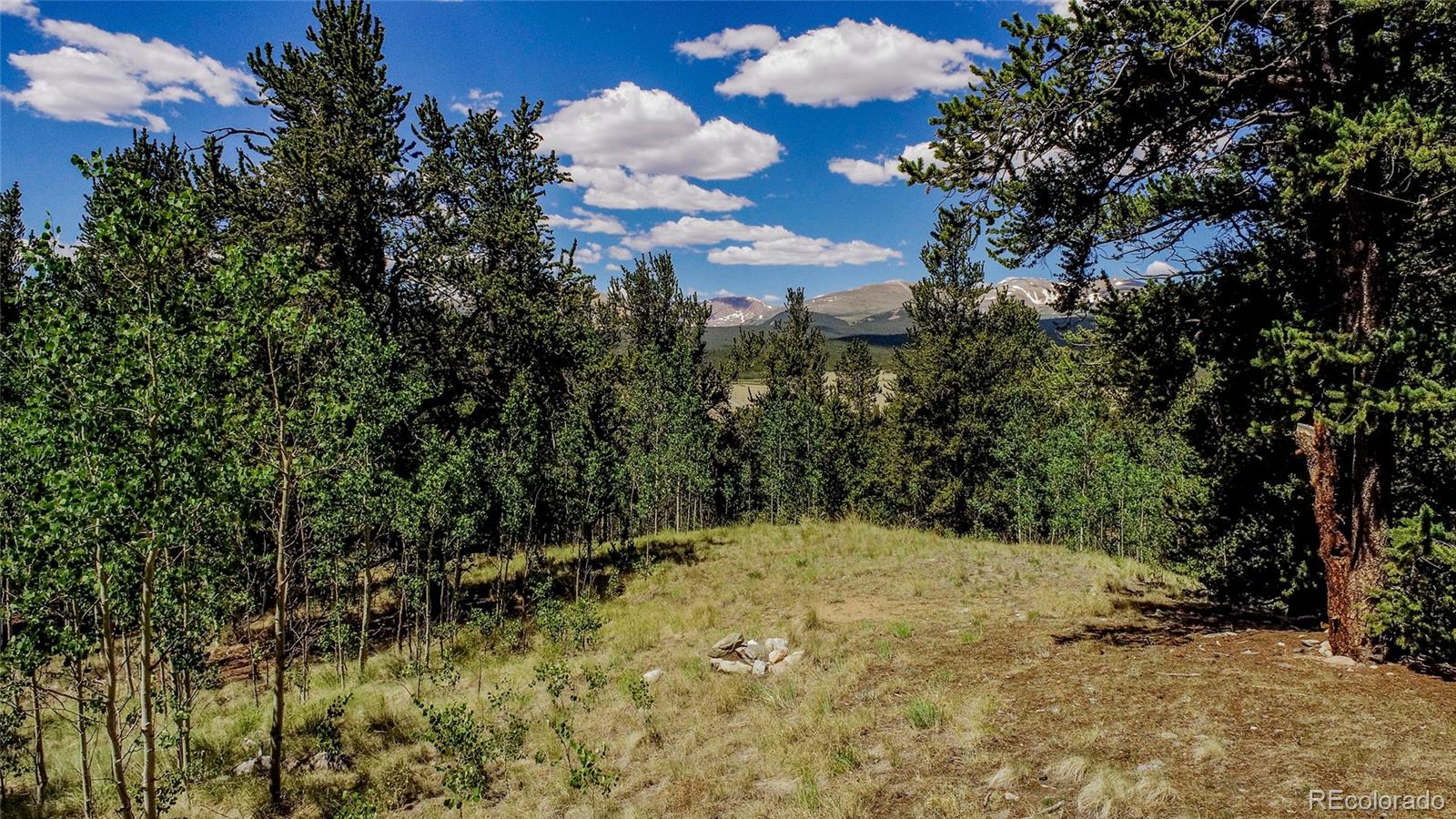 Photo 1 of 31 — 308 Quarry Road, Fairplay, CO 80440