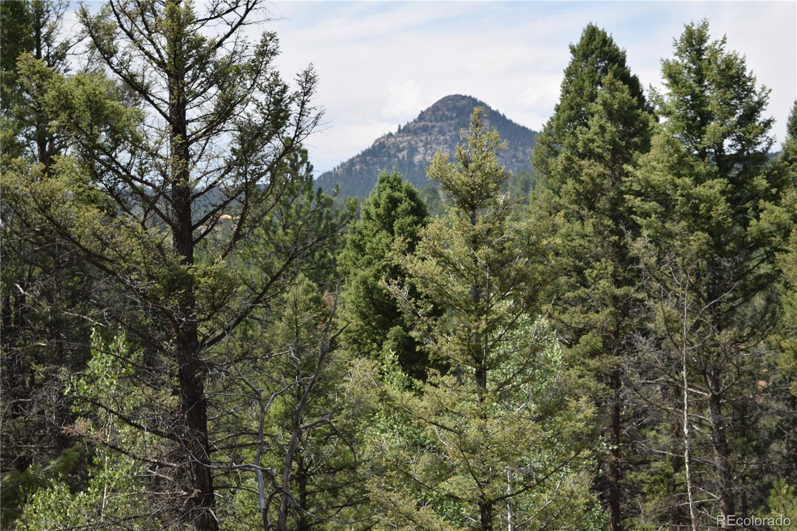 93 Kiowa Creek Trail