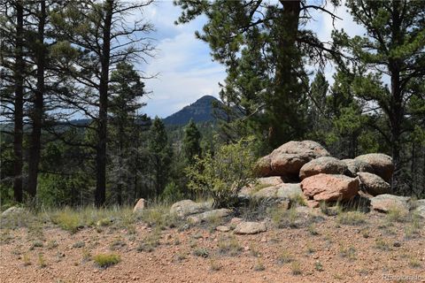 93 Kiowa Creek Trail Florissant CO 80816