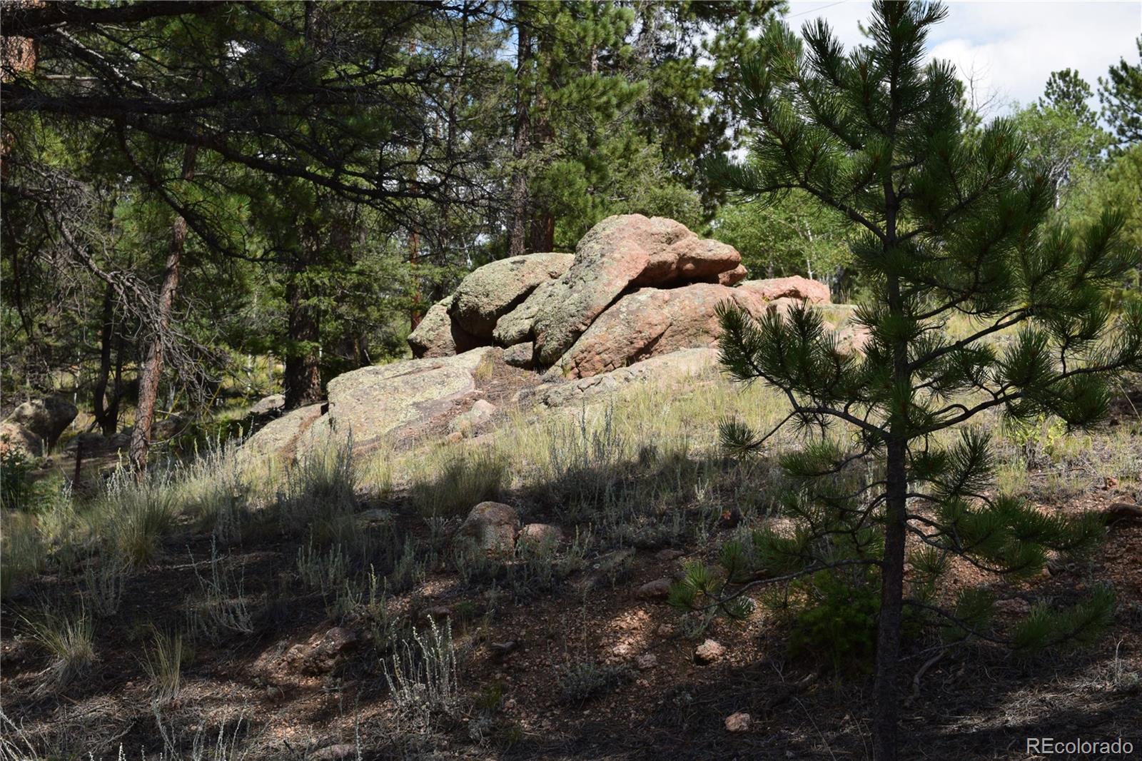 93 Kiowa Creek Trail