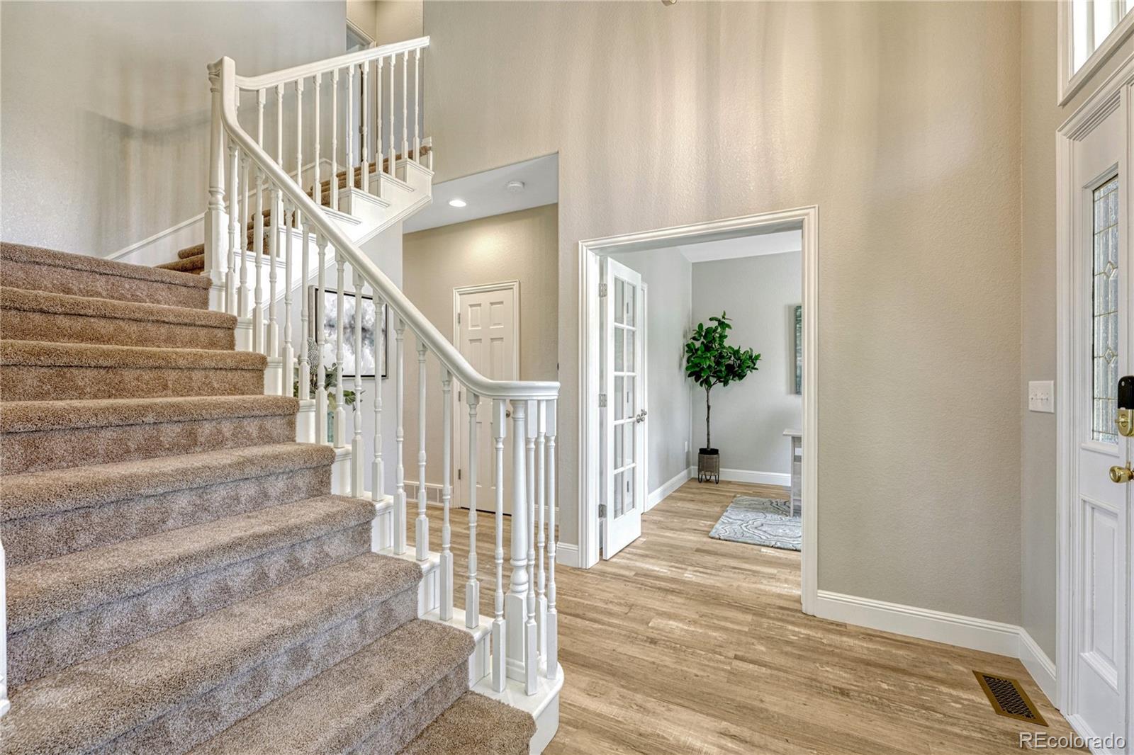 5986 Saddle Creek Trail