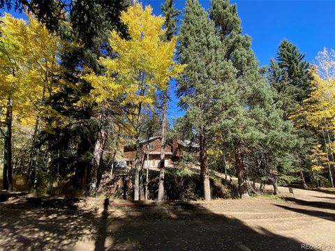 11182 S Barney Gulch Road Conifer CO 80433