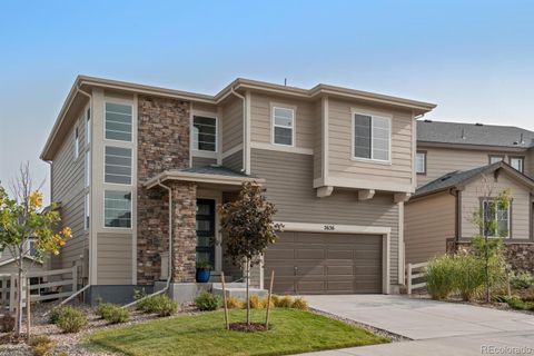 2636 Scoter Lane Castle Rock Co 80104