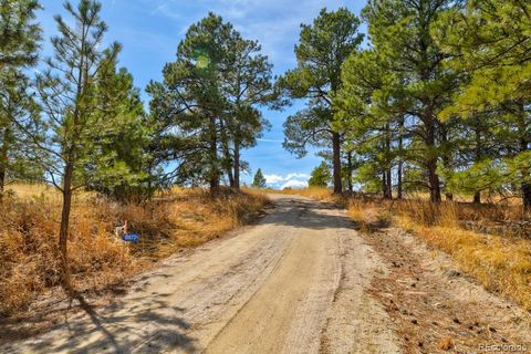 18673 N Elbert Road Elbert CO 80106