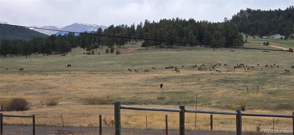 Photo of 5981 Bluebell Lane, Evergreen, CO 80439 (MLS # 9947512)