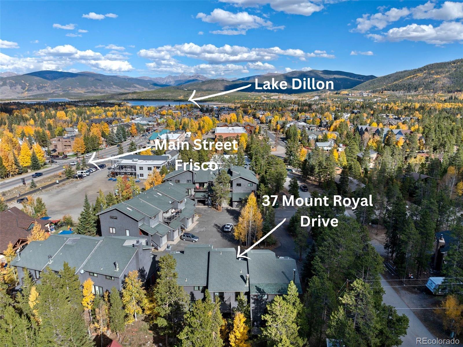 37 Mount Royal Drive