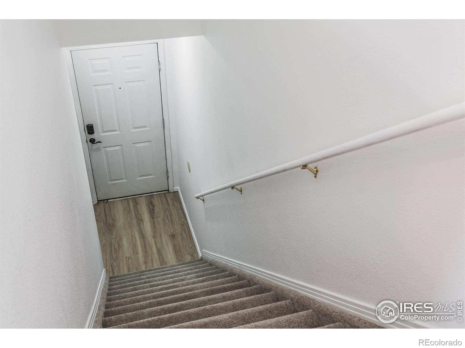 3002 W Elizabeth Street 5