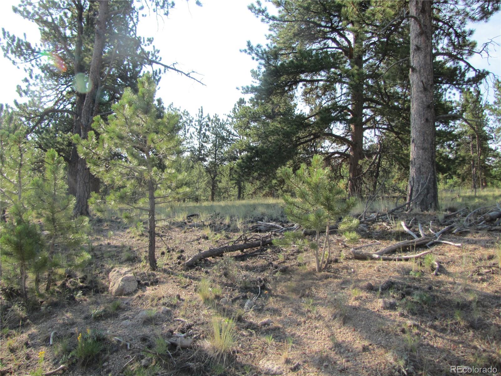 9736 Ranch Road