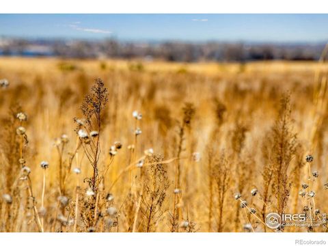 Unimproved Land in Commerce City CO 1 128th Avenue 12.jpg